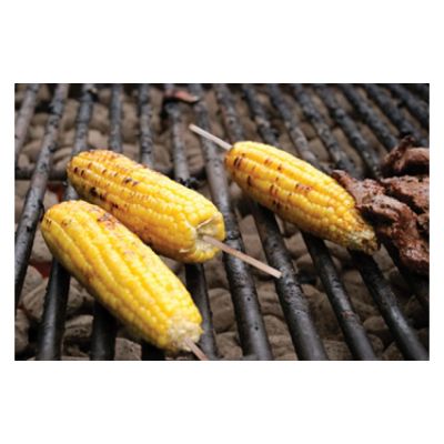 AmerCare Royal R815 Wooden Skewer Sticks for Corn on the Cob, 4.5" - 10000 / Case