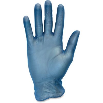 The Safety Zone GVP9LG1BLC Vinyl Gloves, Powder Free, 3 Mil, Large, Blue - 1000 / Case